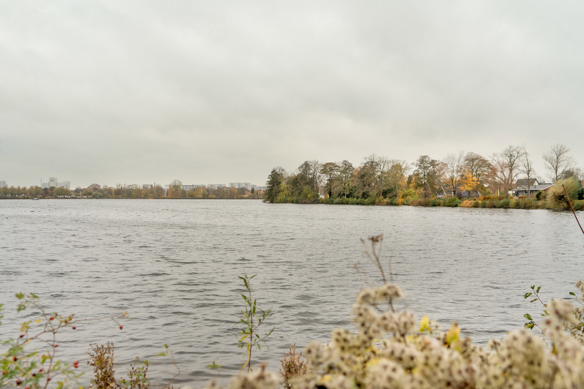 Diskret sag , 2500 Valby