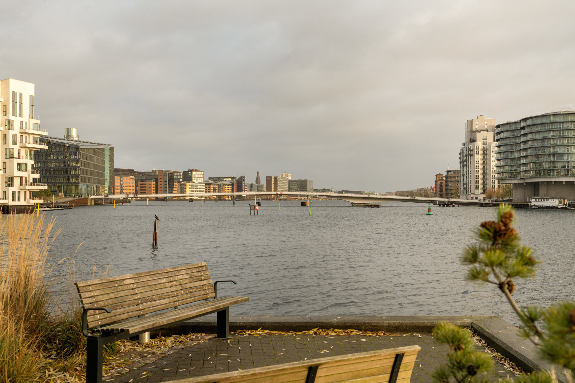 Diskret sag , 2450 København SV