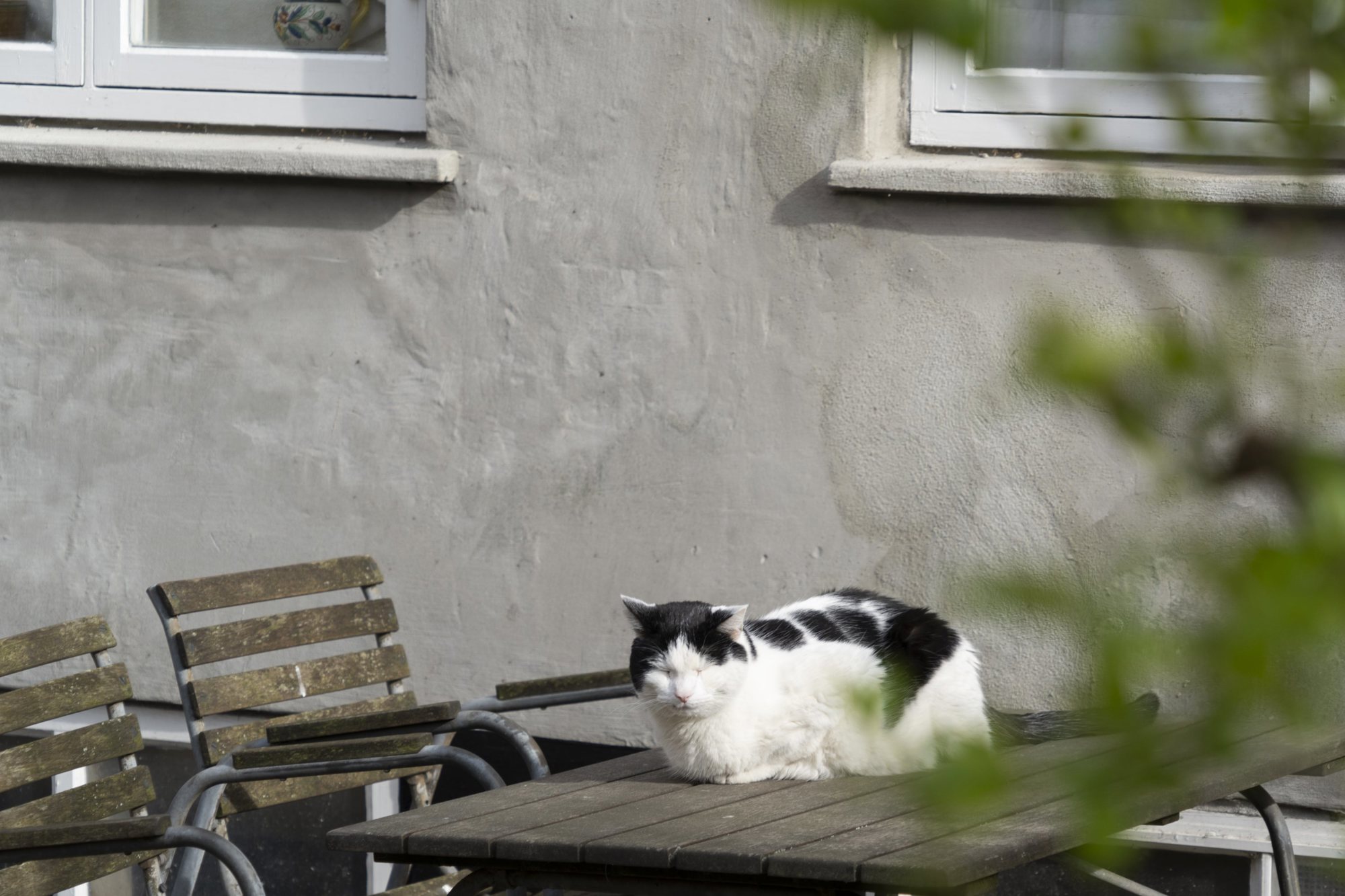 Peblinge Dossering 28, 4., 2200 København N